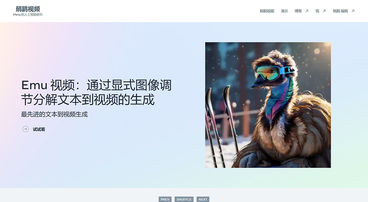 Emu Video Emu Video.jpg