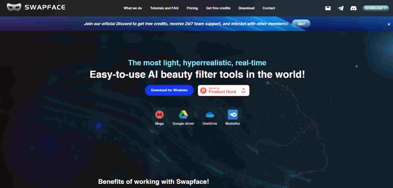 Swapface(图1) Swapface.webp