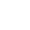 TinyShip